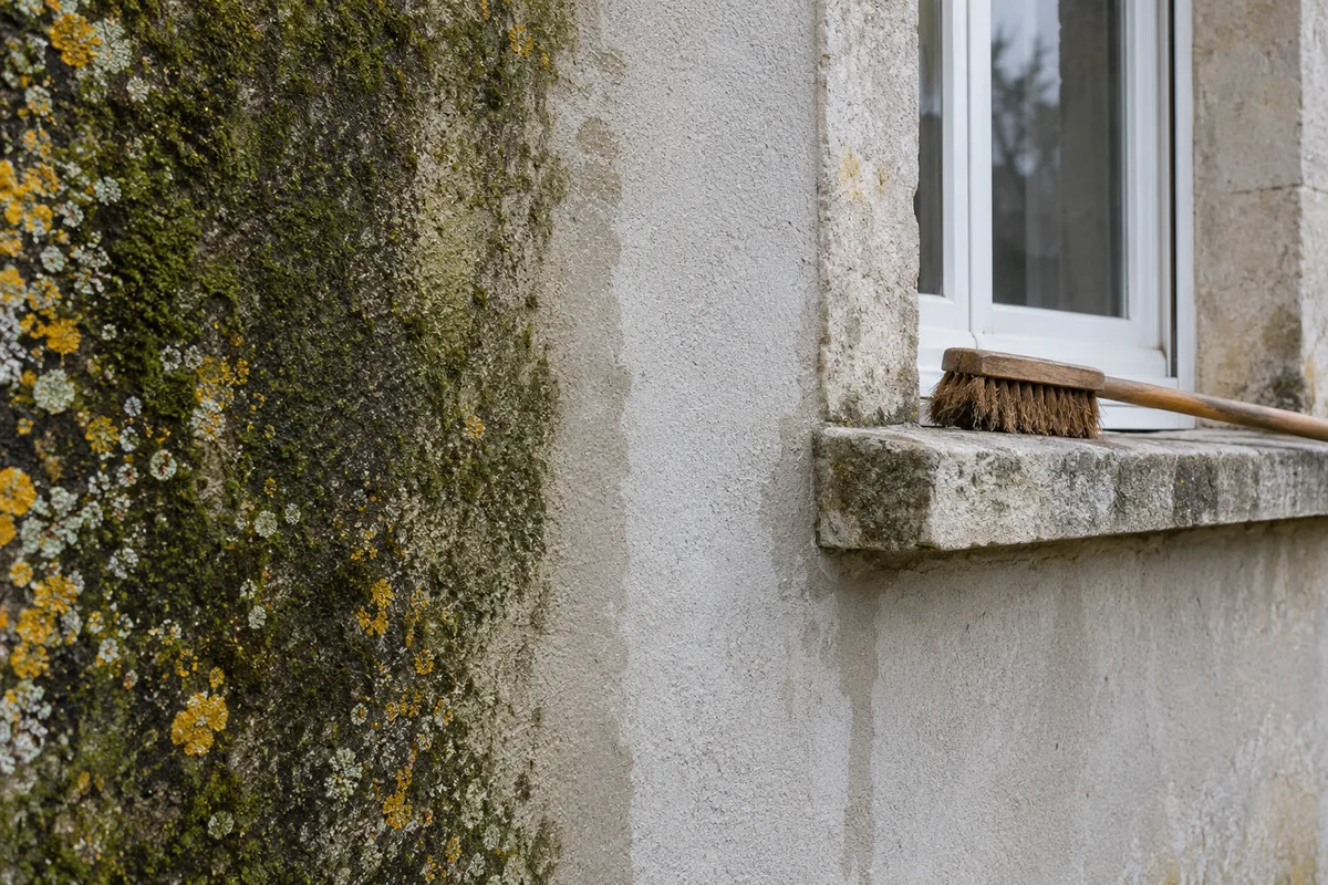 Enduit de façade à moitié lavé, la bande nettoyée contrastant avec les verdissures et les lichens encore en place